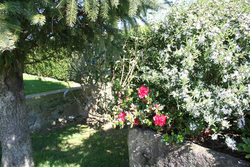 Casa Paz Do Outeiro Bed & Breakfast Paredes de Coura Luaran gambar